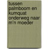 Tussen palmboom en kumquat onderweg naar m'n moeder door Peter A. Weenink