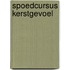 Spoedcursus kerstgevoel