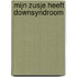 Mijn zusje heeft Downsyndroom