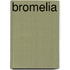 Bromelia