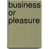 Business or Pleasure