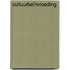 Cultuurbeïnvloeding