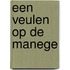 Een veulen op de manege