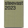 Steevast 2023 door Onbekend