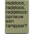 Redeloos, Radeloos, Reddeloos: Opnieuw een rampjaar?