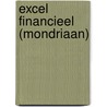 Excel Financieel (Mondriaan) door Onbekend