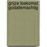 GRIJZE TOEKOMST GODALLEMACHTIG by Elle Werners