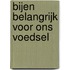 Bijen belangrijk voor ons voedsel