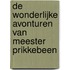 De wonderlijke avonturen van meester Prikkebeen
