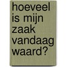 Hoeveel is mijn zaak vandaag waard? door Onbekend
