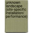 Unknown Landscape (Site-specific installation/ performance)