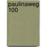 Paulinaweg 100 door Remco Coppejans