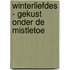 Winterliefdes - Gekust onder de mistletoe