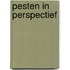 Pesten in perspectief