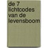 De 7 lichtcodes van de levensboom