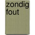 Zondig fout