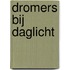 Dromers bij daglicht