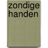 Zondige handen