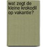 Wat zegt de kleine krokodil op vakantie?
