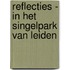 Reflecties - in het Singelpark van Leiden