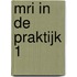 MRI in de Praktijk 1