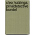Cleo Huizinga, privédetective bundel
