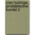 Cleo Huizinga, privédetective bundel 2