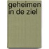 Geheimen in de Ziel