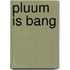 Pluum is bang