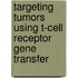 Targeting tumors using T-cell receptor gene transfer