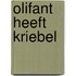 Olifant heeft kriebel