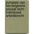 Synopsis van het Belgische sociaal recht - Individueel arbeidsrecht