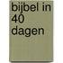 Bijbel in 40 Dagen
