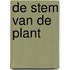De stem van de plant