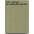 Cleo Huizinga, privédetective-bundel