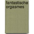 Fantastische Orgasmes