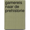 Gamereis naar de prehistorie door Folkert Oldersma