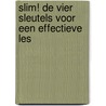 Slim! De vier sleutels voor een effectieve les door Theo Wildeboer