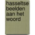 Hasseltse beelden aan het woord