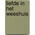 Liefde in het weeshuis