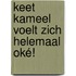Keet Kameel voelt zich helemaal oké!