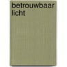 Betrouwbaar Licht by Margriet Tevonderen