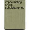 Impactmeting snelle schuldsanering door Wouter Vermeulen