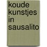 Koude kunstjes in Sausalito