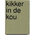 Kikker in de kou