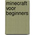 Minecraft voor beginners