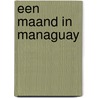 Een maand in Managuay door Roger Abrahams