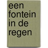 Een fontein in de regen door Mario Demesmaeker
