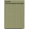 CAMILLE vriendschapsarmbandjes door Ruthje Goethals