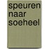 Speuren naar Soeheel